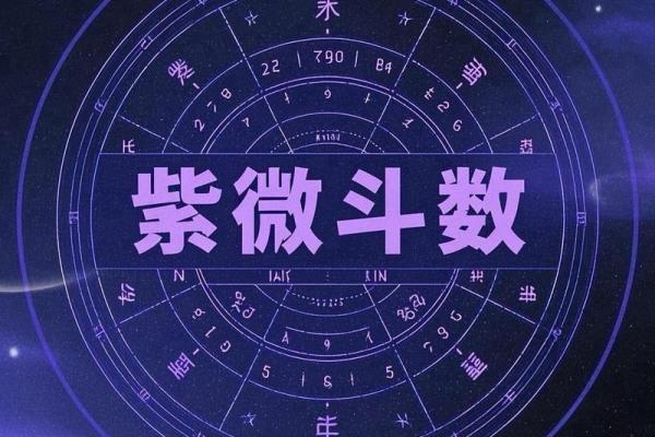 伏羲紫薇斗数