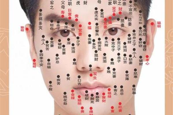 六害眉面相算命图解