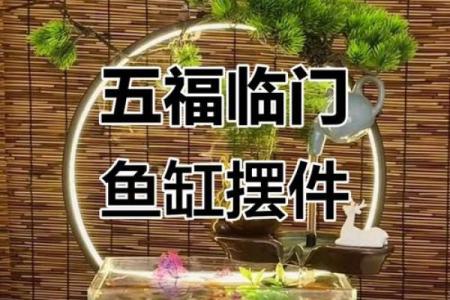 鱼缸的风水妙用