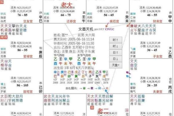 【紫微斗数】排盘技巧016：特殊格局的分析
