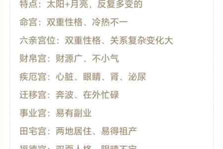 手机紫薇斗数app