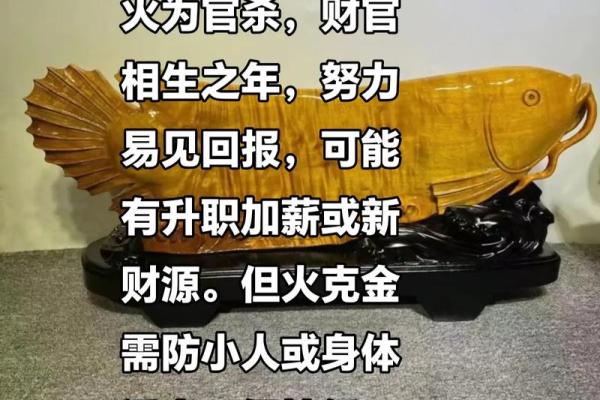 八字身旺财杀两透