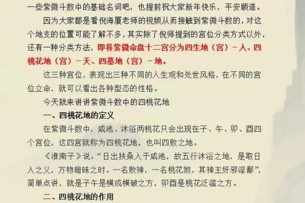 怎么理解紫薇斗数