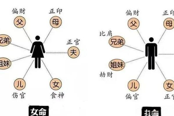 八字透与藏的意思