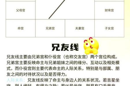 紫薇斗数怎么看手术