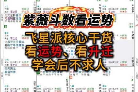 紫薇斗数女命紫薇