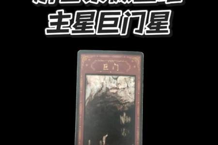 紫薇好运主星：无须过度规划目标的紫微主星