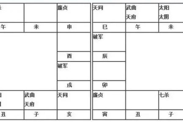 紫薇斗数盘如何看