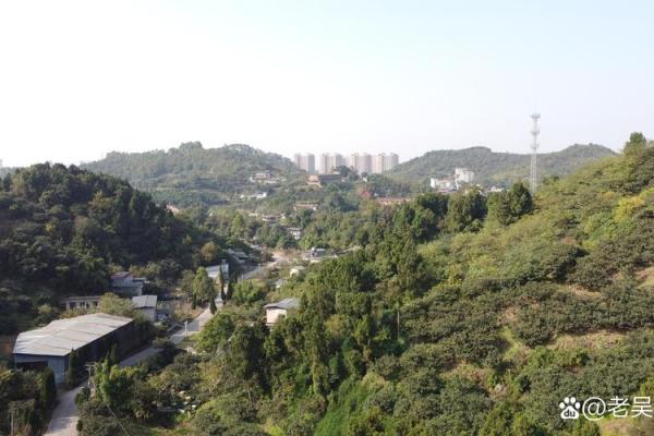 房子对面有陵园好不好风水