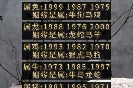 两个人的缘份测试吉凶准吗