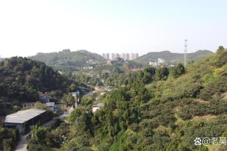 房子对面有陵园好不好风水