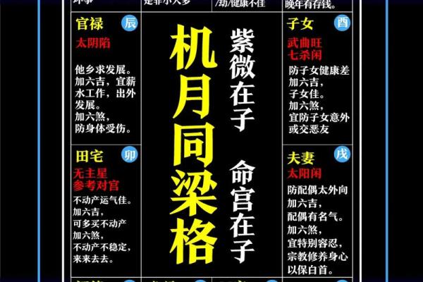 紫薇斗数阳历盘