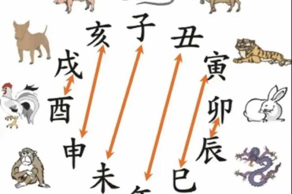 属龙和属鼠的八字合吗