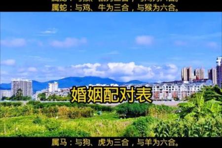 八字合婚天滴中心，如何选配最完美？