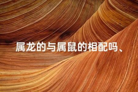 属龙和属鼠的八字合吗