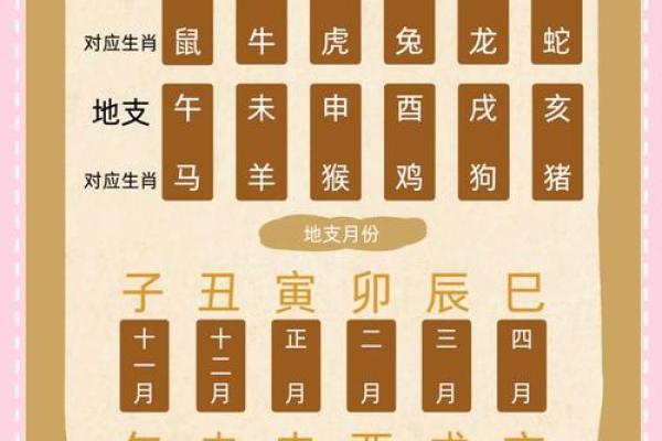 女命八字正官 女命八字正官