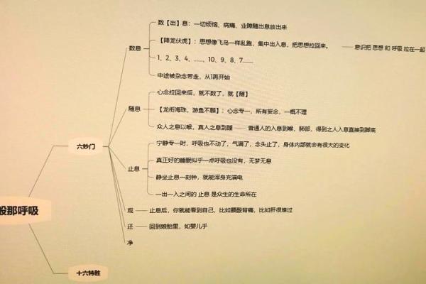 风水观点如何判断自己身上有佛缘