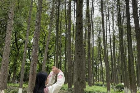 八字预算：你将在明年春暖花开时配姻缘