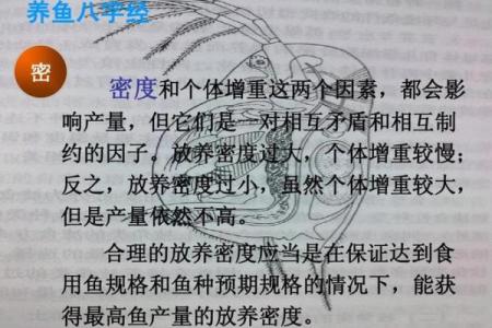 养鱼技术有决窍, 八字精华要记牢