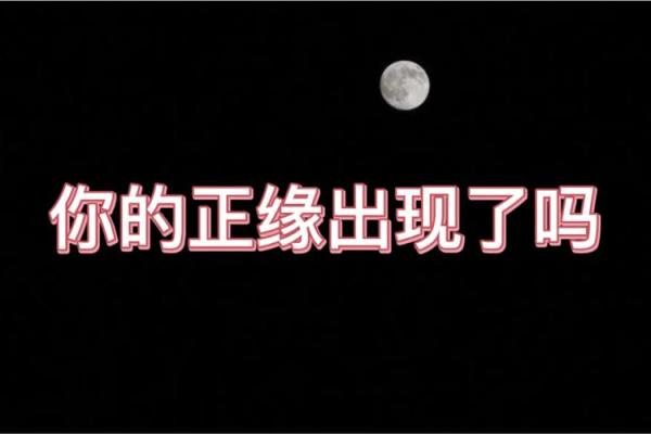 塔罗测试我的宿命正缘