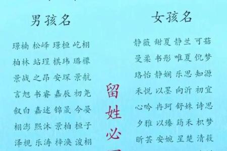 宝宝定字起名生辰八字打分