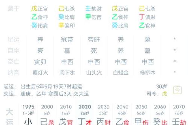 八字命盘养是什么意思