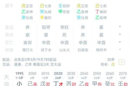 八字命盘养是什么意思