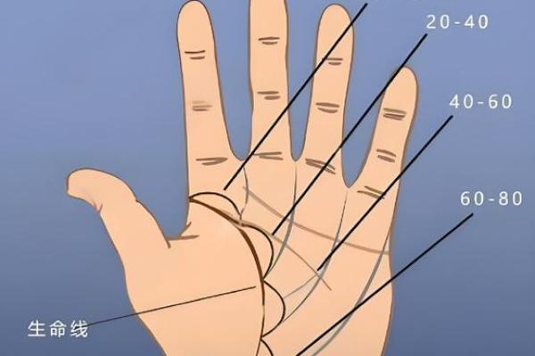 什么是八字掌,八字掌的标准手型是什么