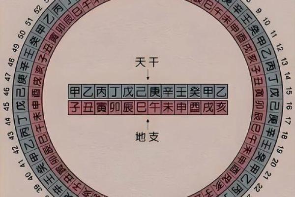 八字基础，干支阴阳差异