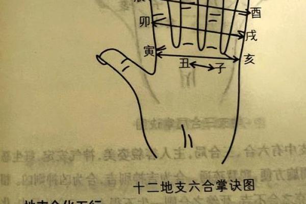 八字地支为亥的女命