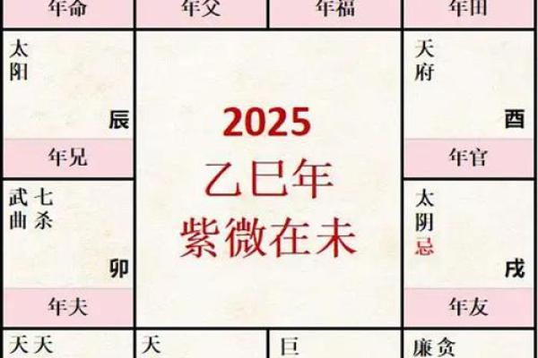 紫微命盘太阴在亥宫,太阴星在亥宫守命宫