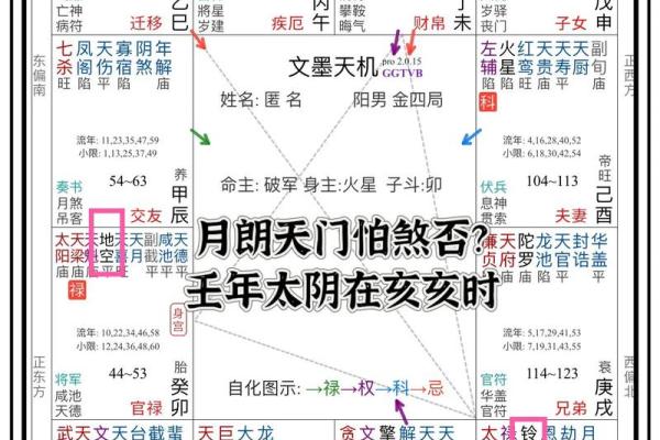 紫微命盘太阴在亥宫,太阴星在亥宫守命宫