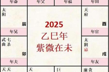 紫微命盘太阴在亥宫,太阴星在亥宫守命宫