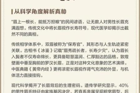 正八字眉的男人面相分析 男人哪种眉毛最好