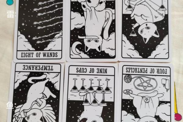 塔罗牌测试，你在事业上最大的天赋是什么？