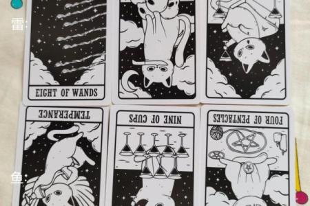 塔罗牌测试，你在事业上最大的天赋是什么？