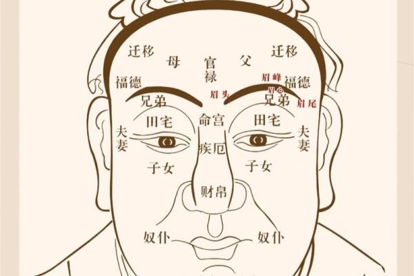 眉心凸起八字纹分析及治疗方法,了解眉心凸起八字纹原因 眉心凸起八字纹分析及治疗方法,了解眉心凸起八字纹原因