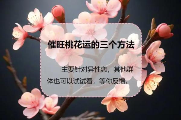 办公室女性招桃花运风水布局 用了桃花运简直不要太好