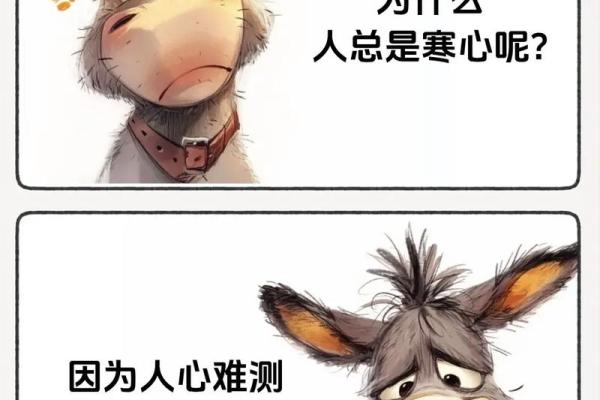 测试你是那种不懂人情世故的人吗