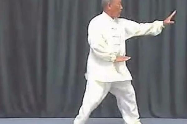 形意门秘传八字连环拳 形意门秘传八字连环拳