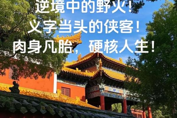 八字中的比肩 八字中的比肩