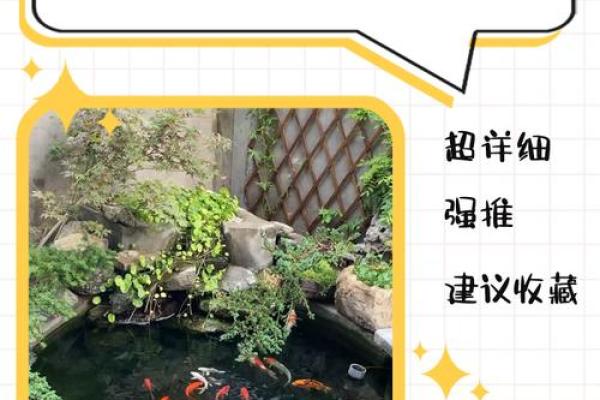 房子门口可以有鱼池吗风水 房子门口可以有鱼池吗风水