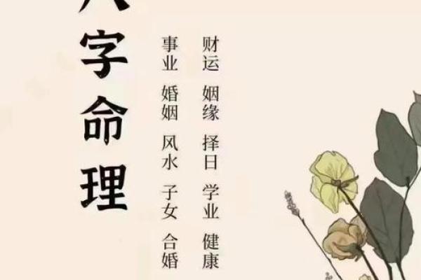 中年人的八字命运分析图