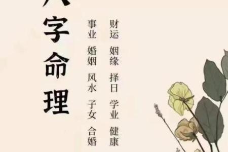 中年人的八字命运分析图