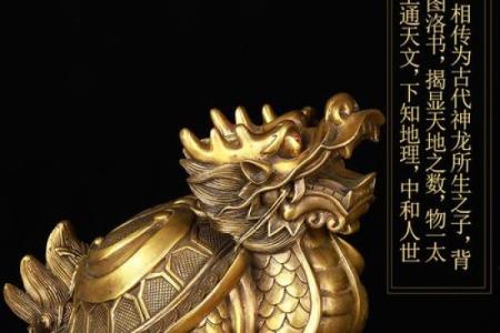 风水龙龟的摆放方法及禁忌用开光吗