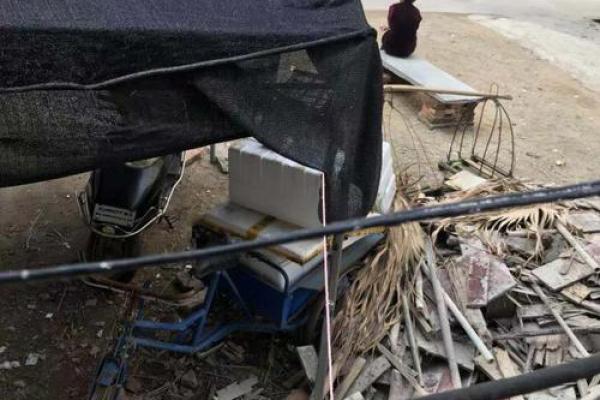 家中能养鸡鸭吗吉凶测试