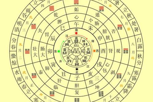 老公八字体弱多病解决方案及注意事项