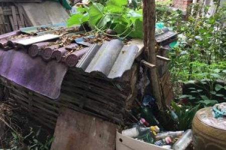 家中能养鸡鸭吗吉凶测试