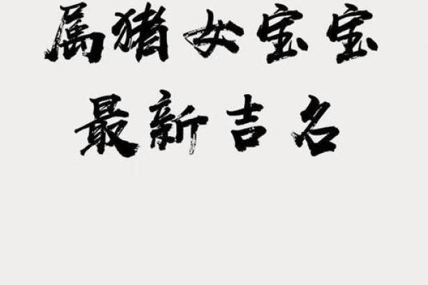 宝宝八字起名大全,猪宝宝最合适的名字推荐 宝宝八字起名大全,猪宝宝最合适的名字推荐