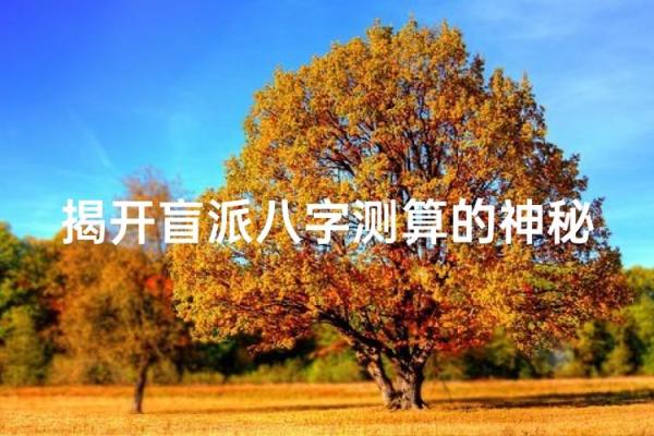 揭开八字命理的神秘面纱